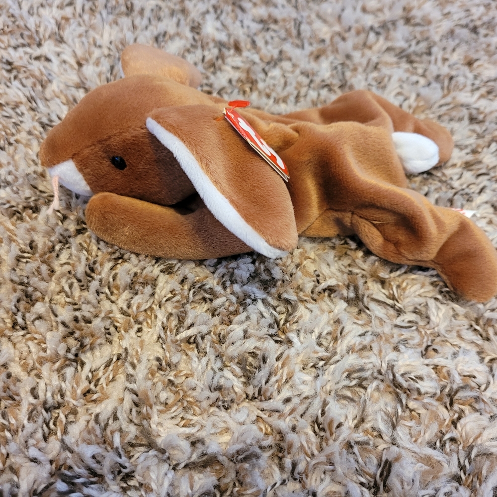 Ears ty beanie baby